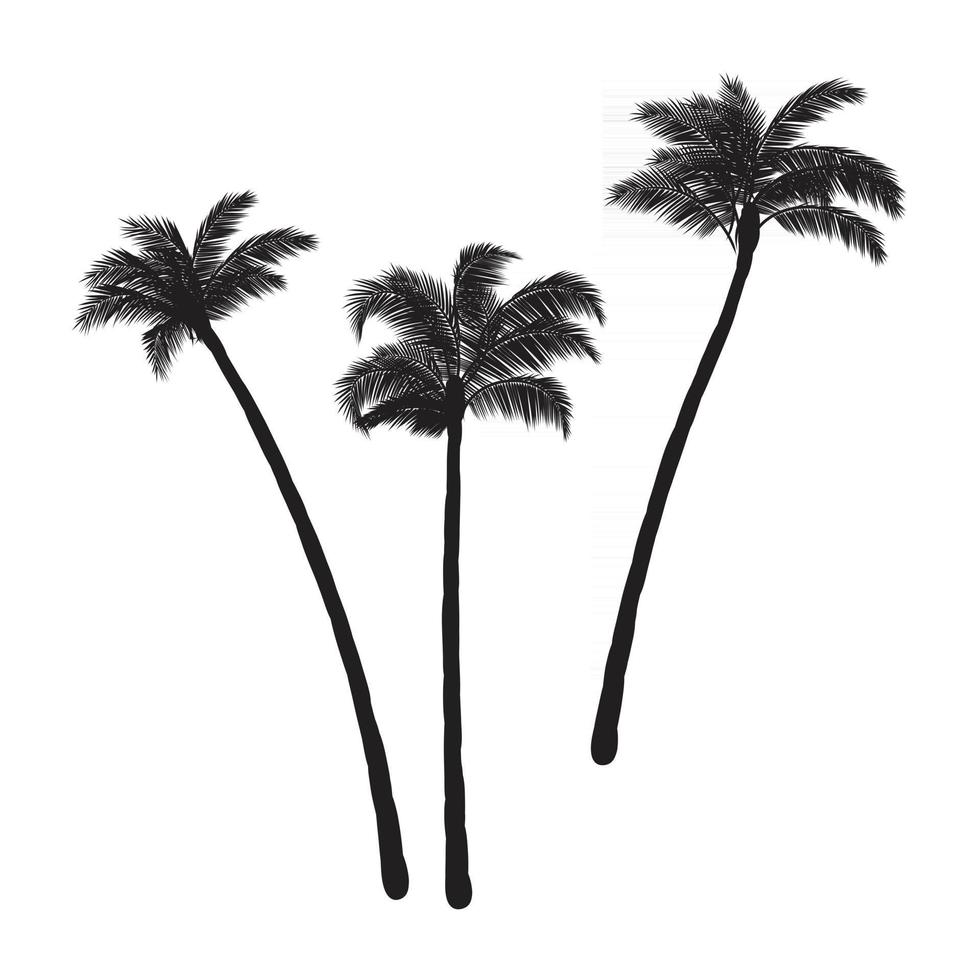 Coconut palm trees vector