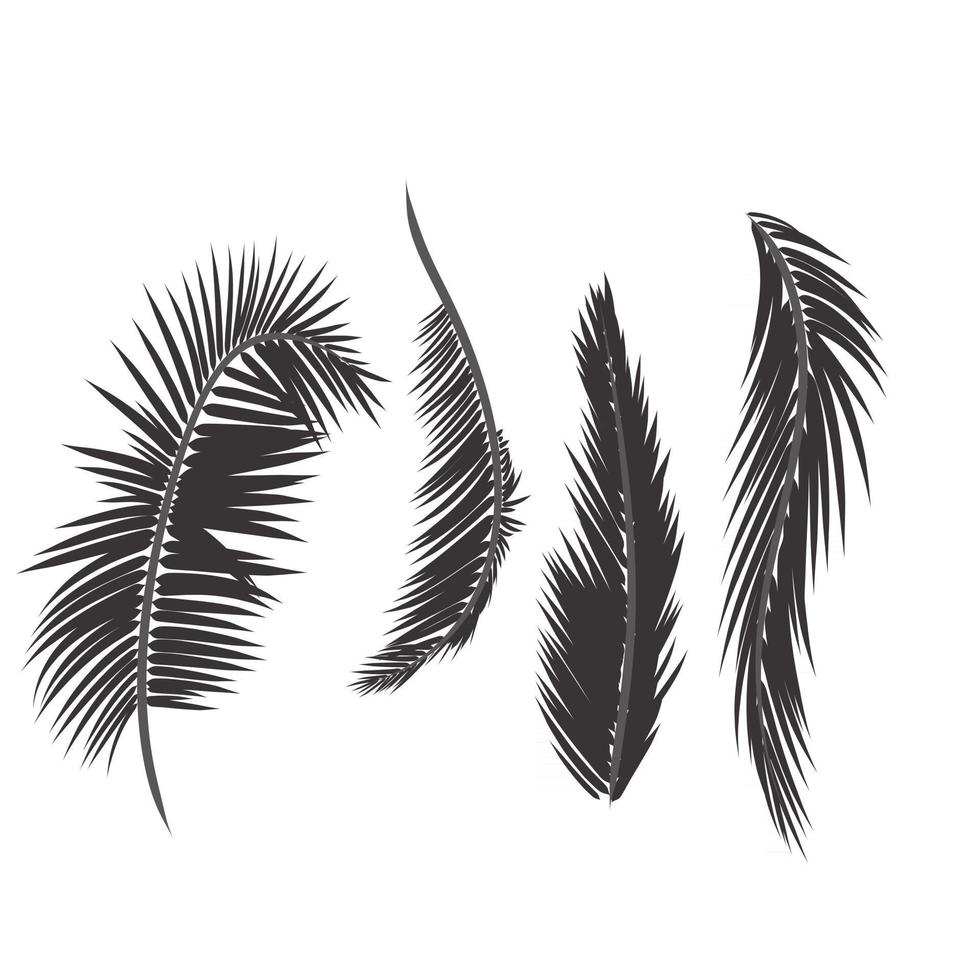 hojas de palmera vector