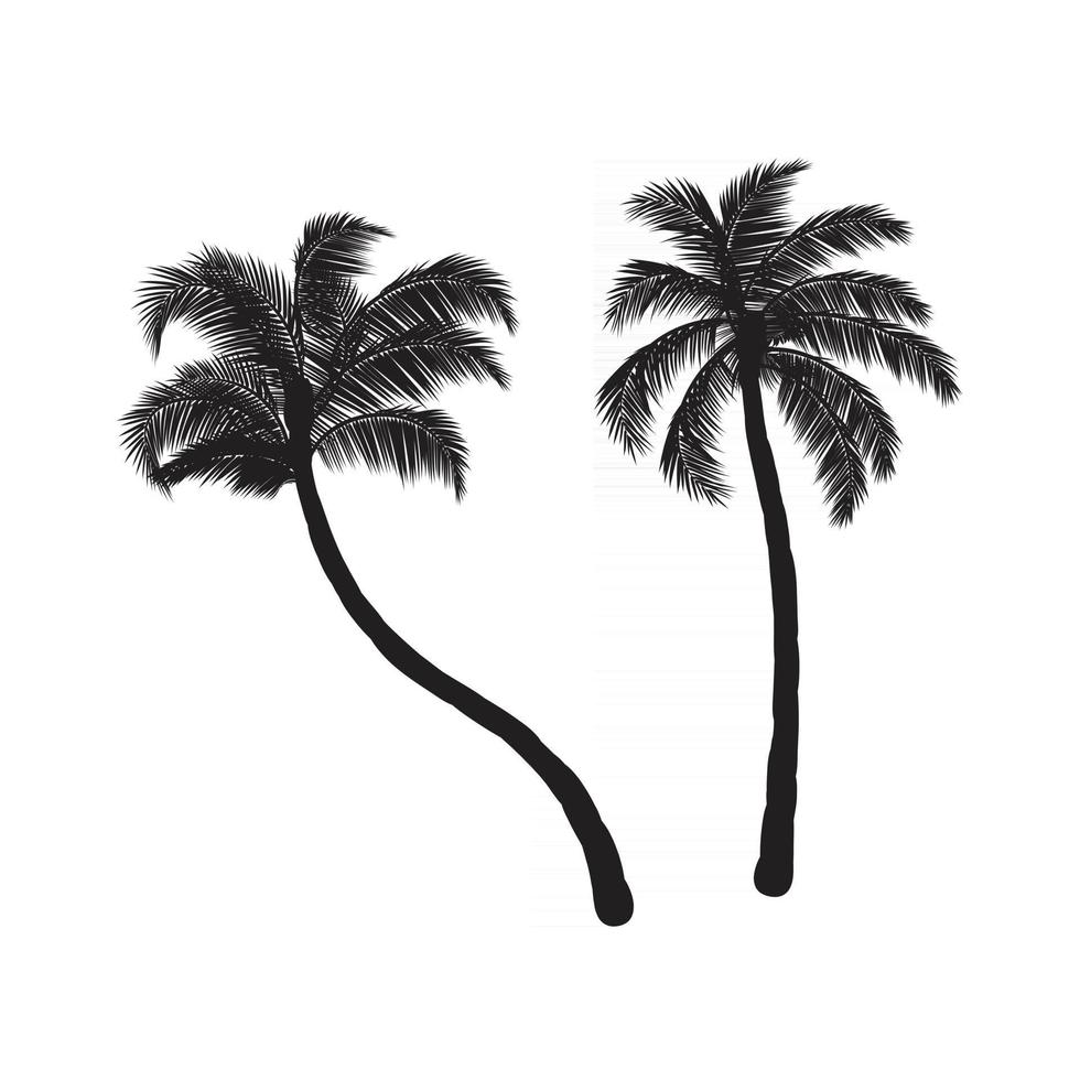 Coconut palm trees vector