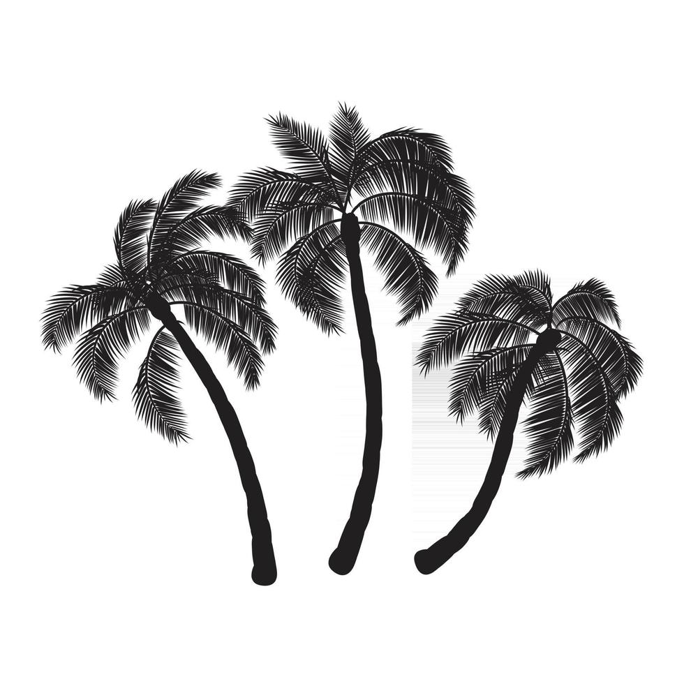 Coconut palm trees vector