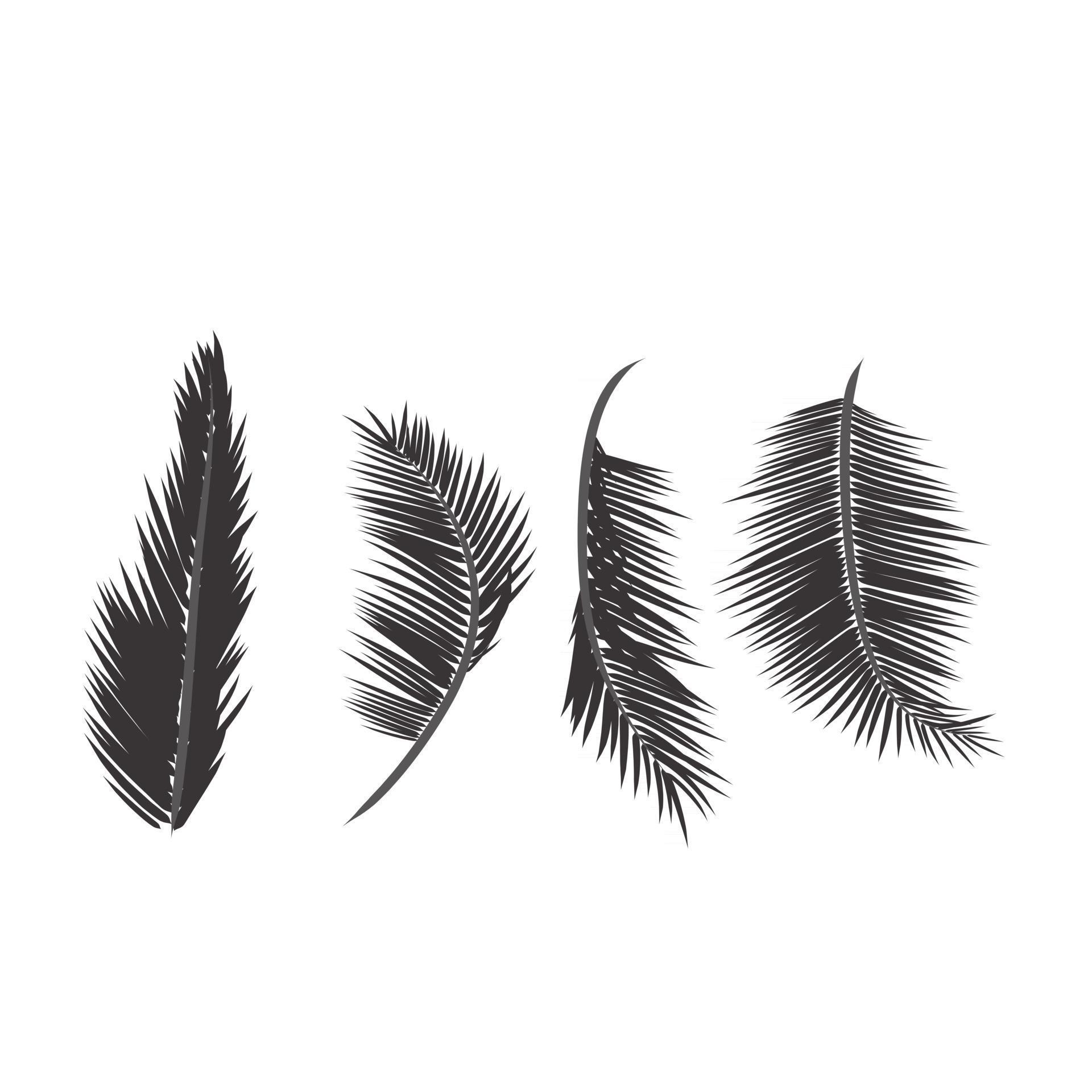 Leaves palm tree 2806861 Vector Art at Vecteezy