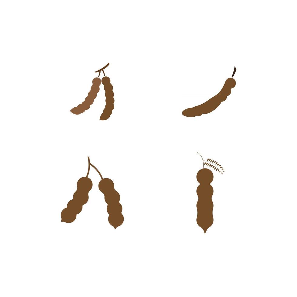 tamarind fresh fruit vector