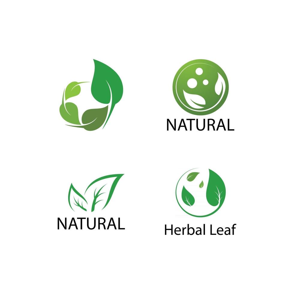 Green leaf logo vector