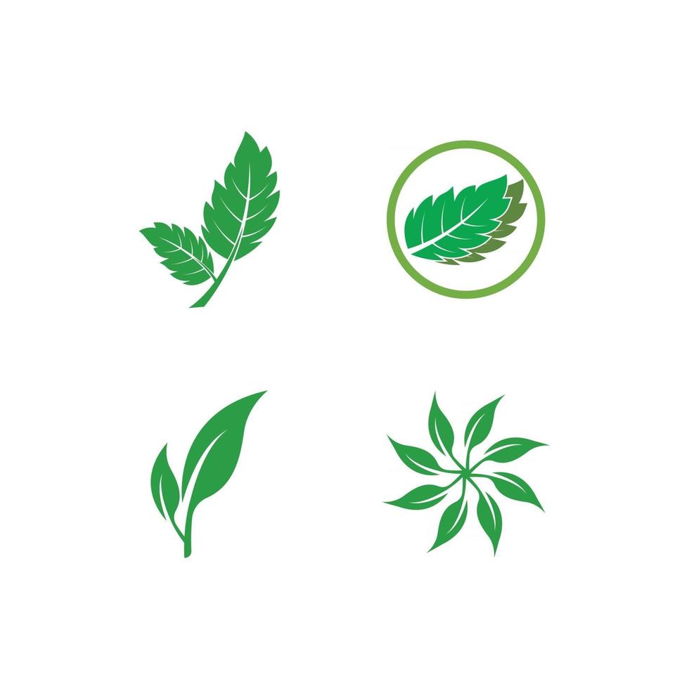 Green leaf logo vector