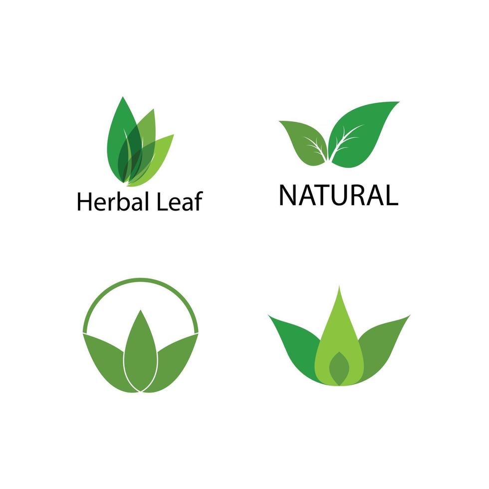 Green leaf logo vector