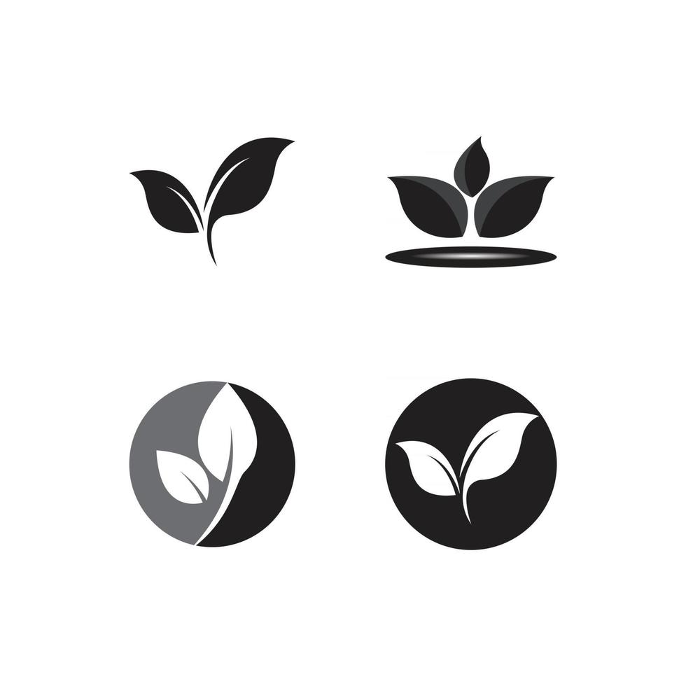 leaf logo ecology nature vector