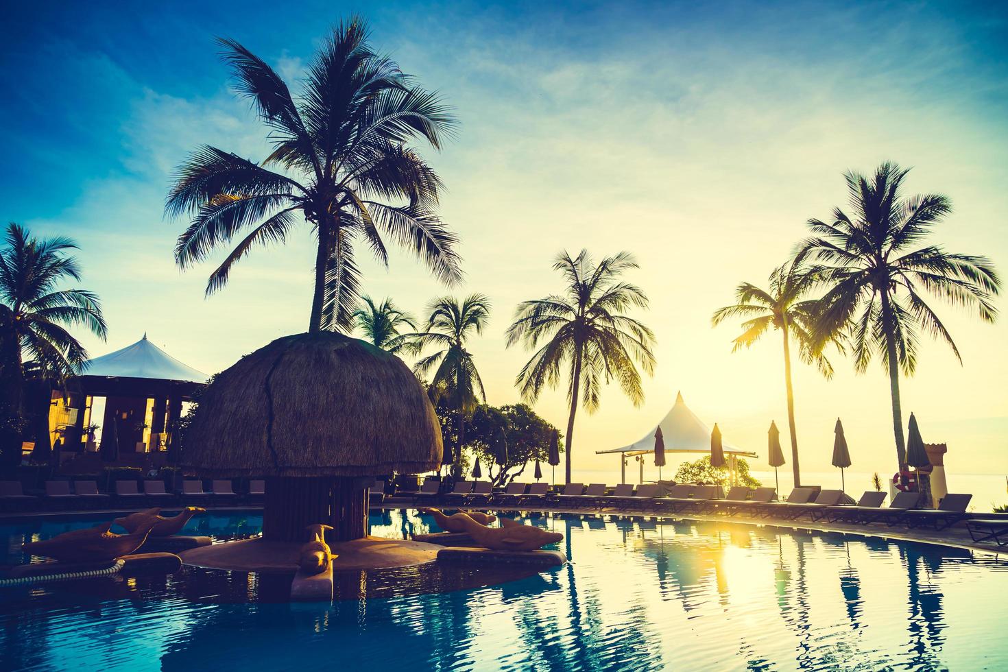 Silueta de palmera de coco alrededor de la piscina foto