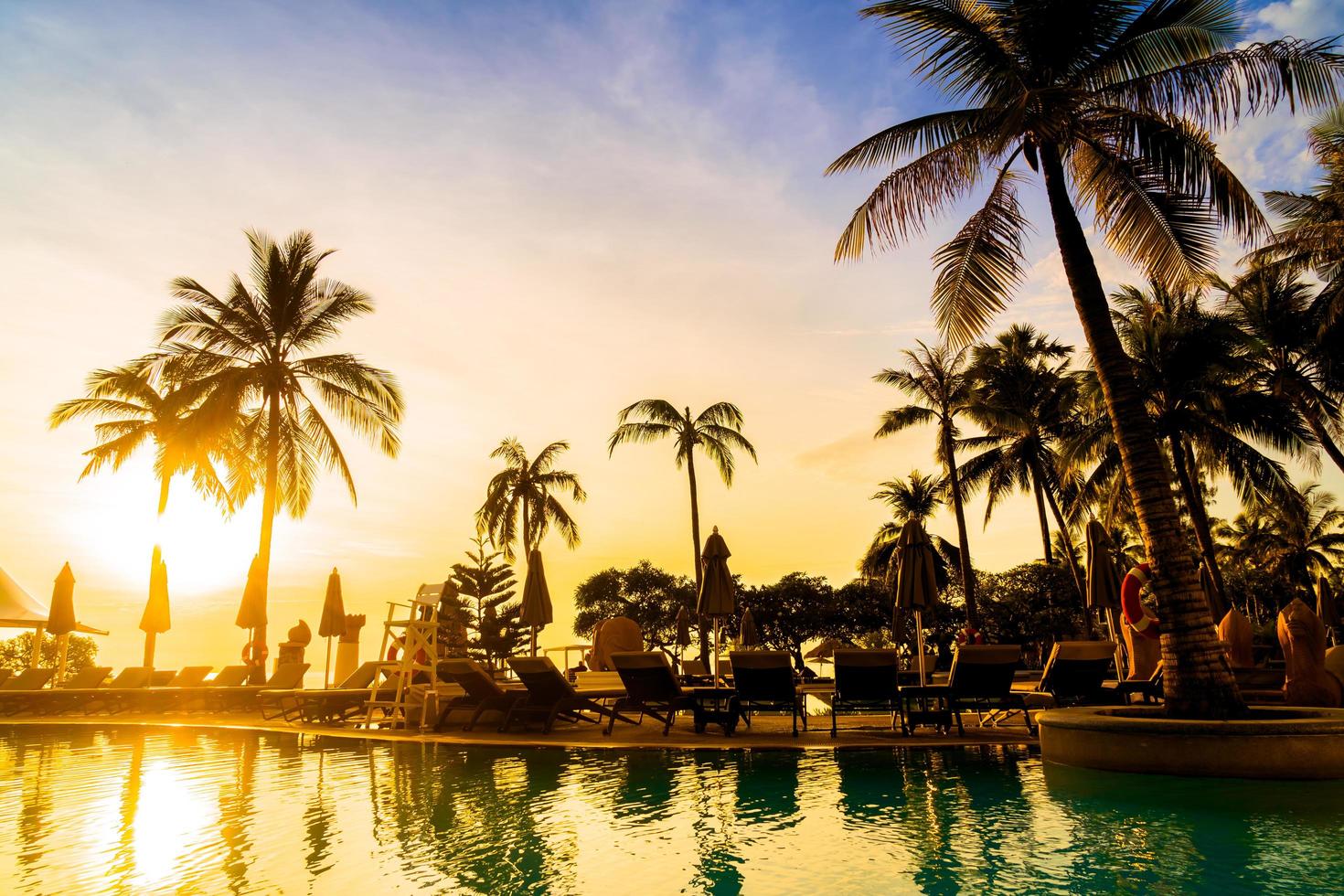 Silhouette coconut palm tree around swimming pool photo