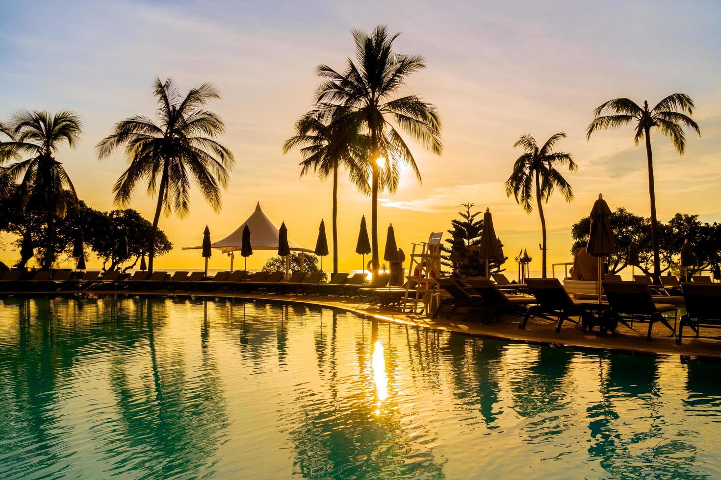 Silhouette coconut palm tree around swimming pool photo