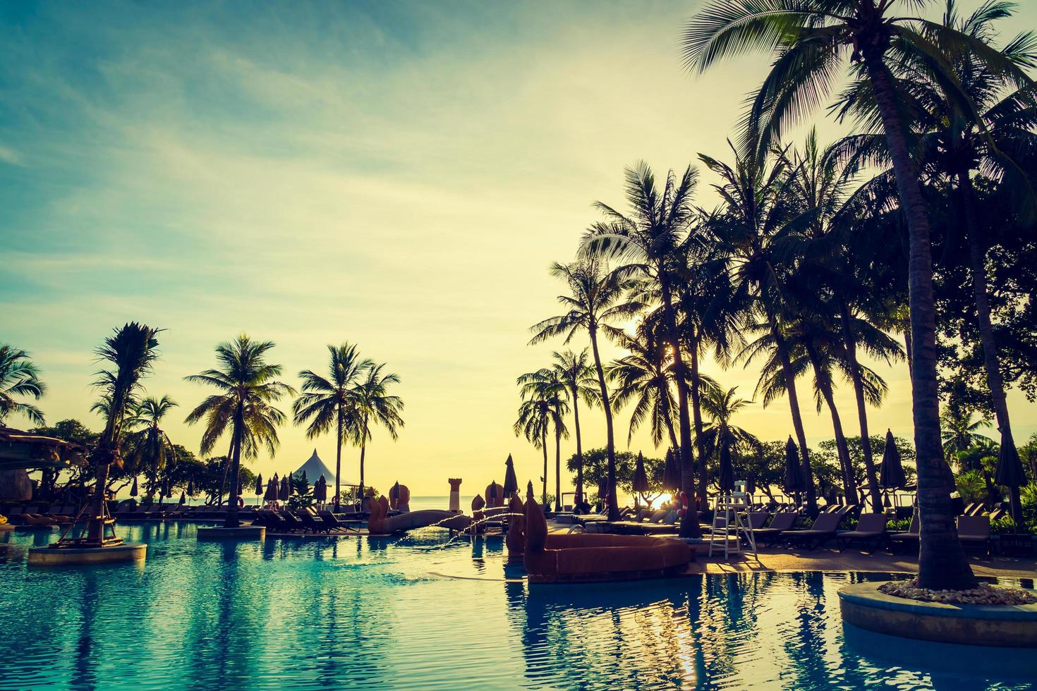 Silhouette coconut palm tree around swimming pool photo