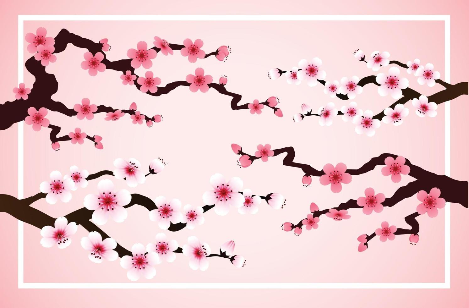ssakura falling petals vector on pink banner background.