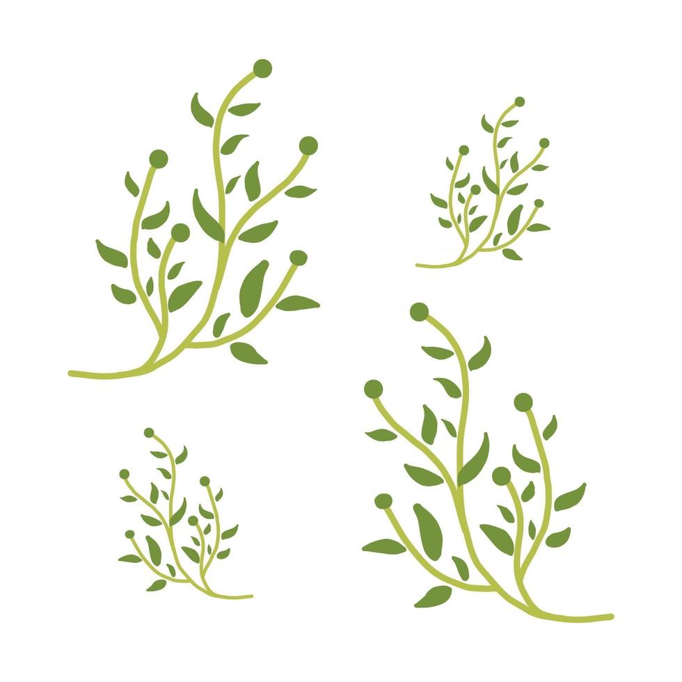 floral leaves set vector