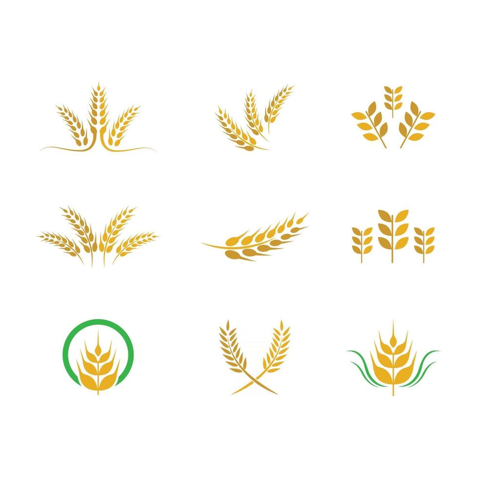 Wheat logo images vector