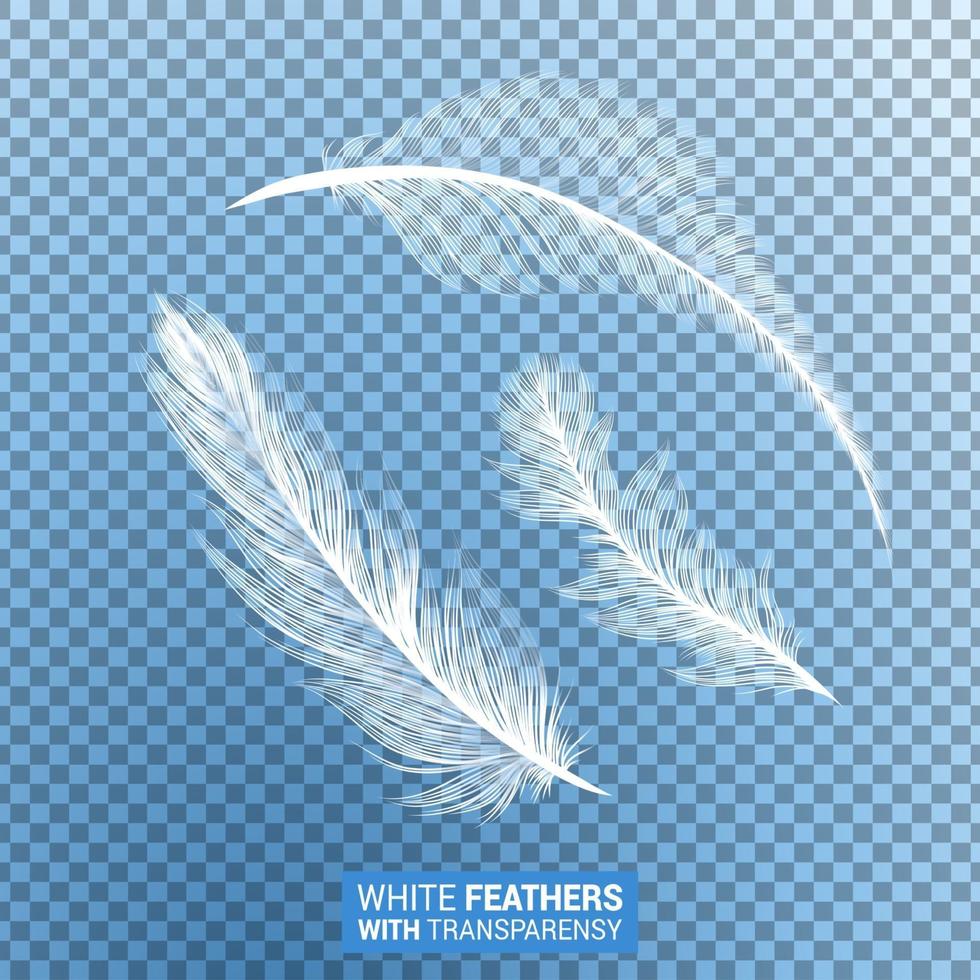 White fluffy feathers realistic transparent effect vector