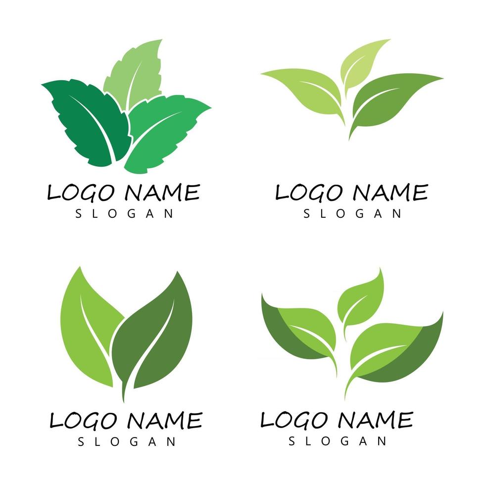 Leaf icon Vector Illustration design Logo template