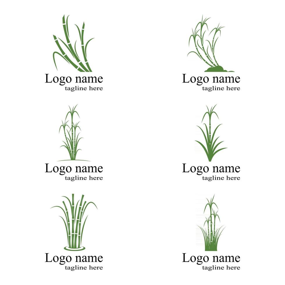 Sugar cane Logo Template vector symbol nature
