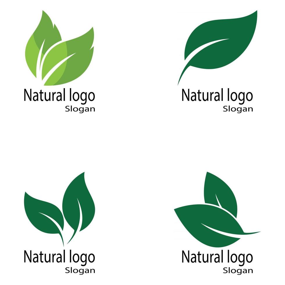 plantilla de logotipo de diseño de ilustración de vector de icono de hoja