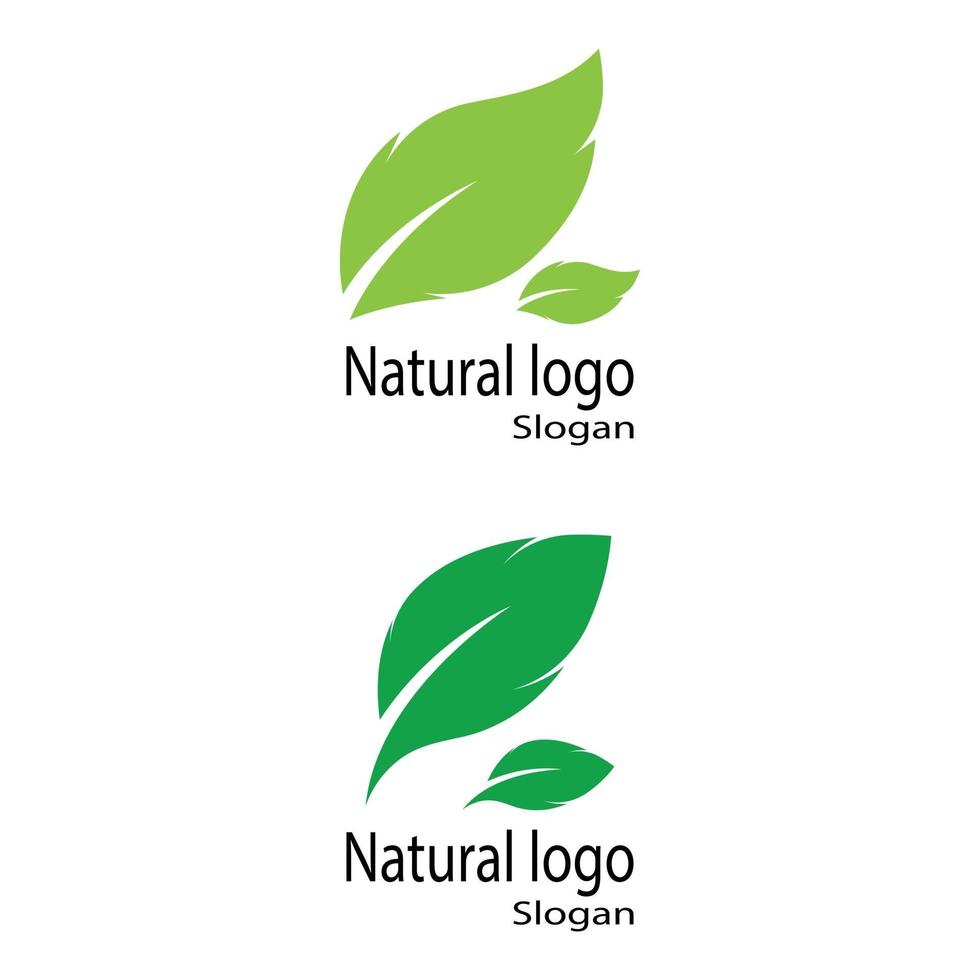 Leaf icon Vector Illustration design Logo template