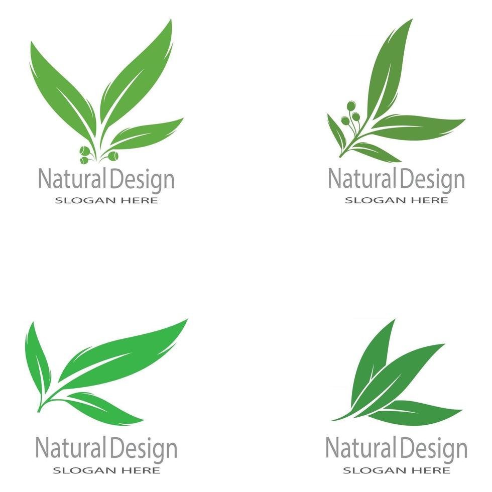 Leaf icon Vector Illustration design Logo template