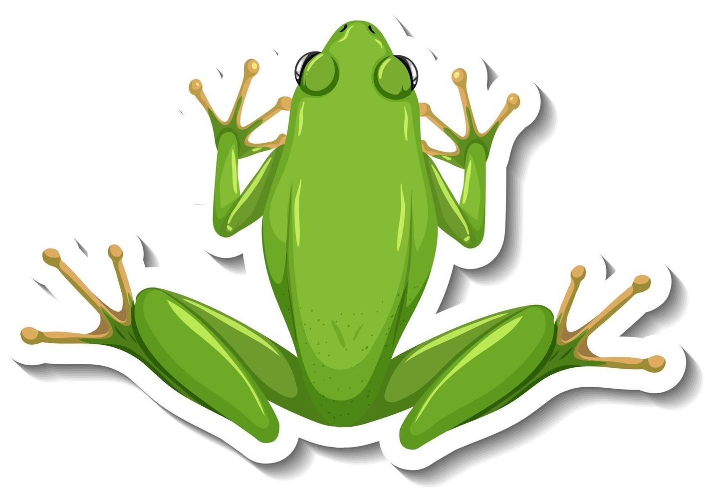 una plantilla de pegatina con vista superior de rana verde aislada vector