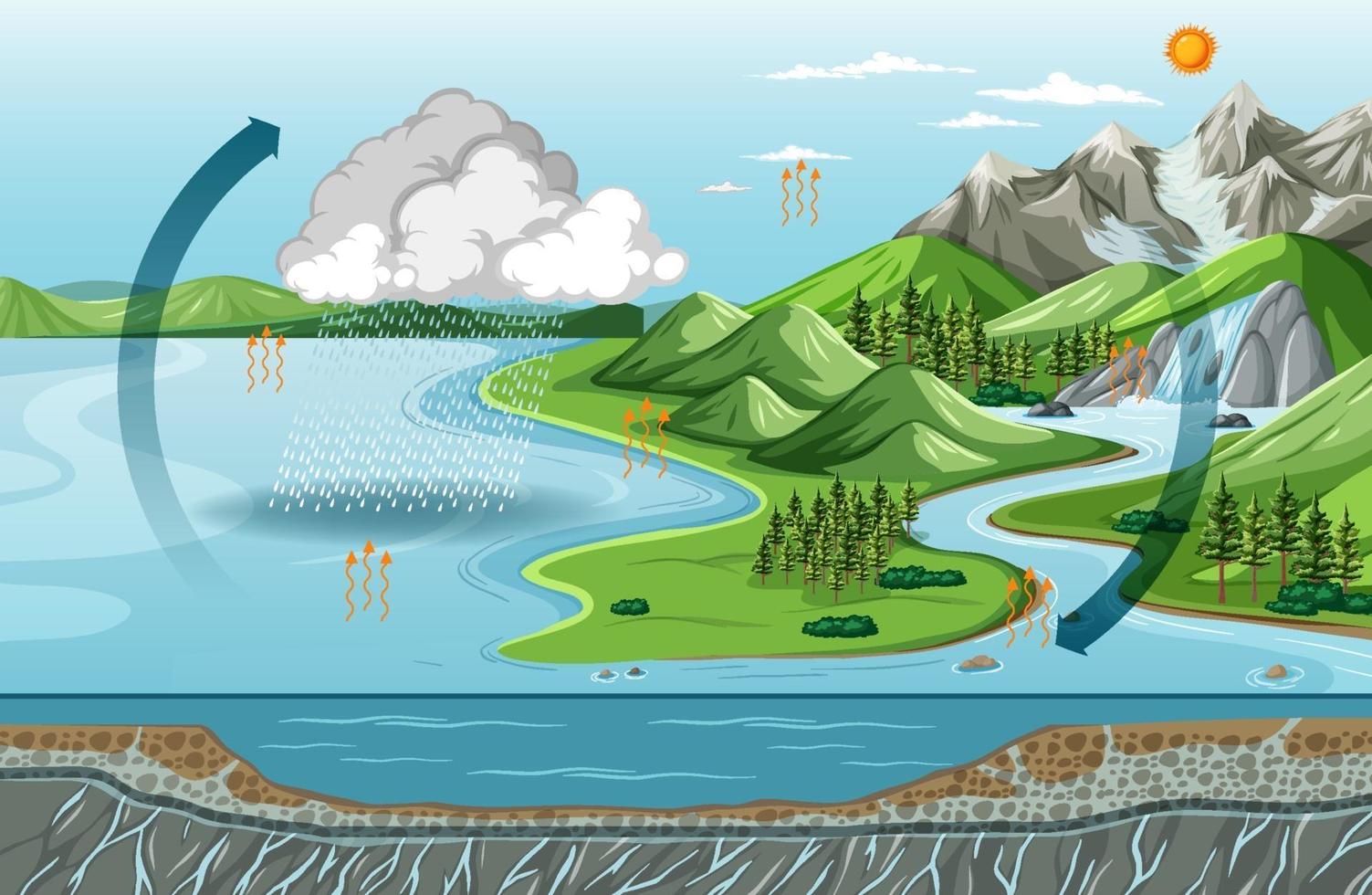 evaporación del diagrama del ciclo del agua con la escena del paisaje natural vector