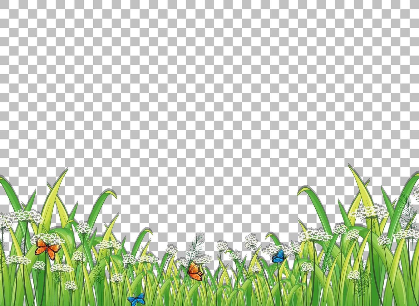 Green grass with butterflies frame vector