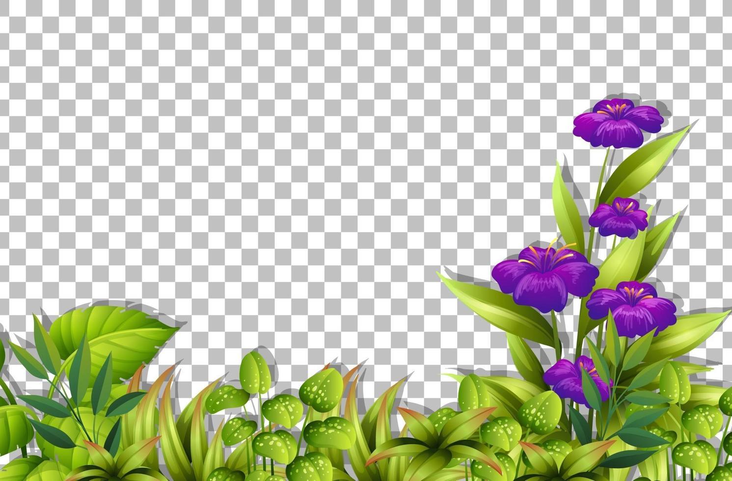 Various tropical leaves frame vector