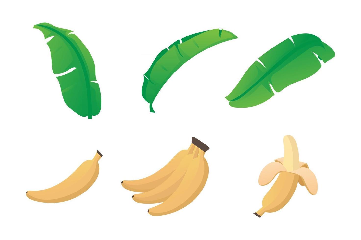 dibujos animados de plátano con hoja de plátano vector