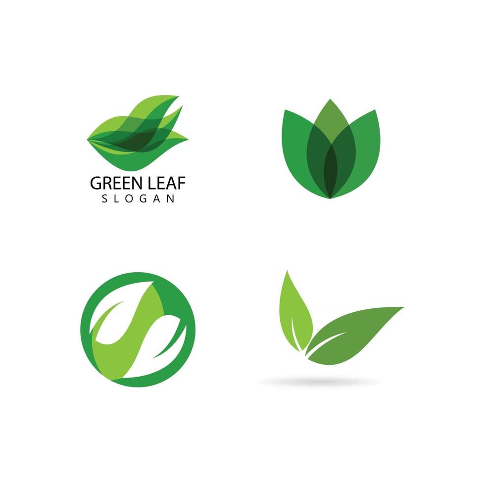 Green leaf logo vector