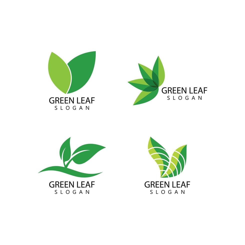 Green leaf logo vector