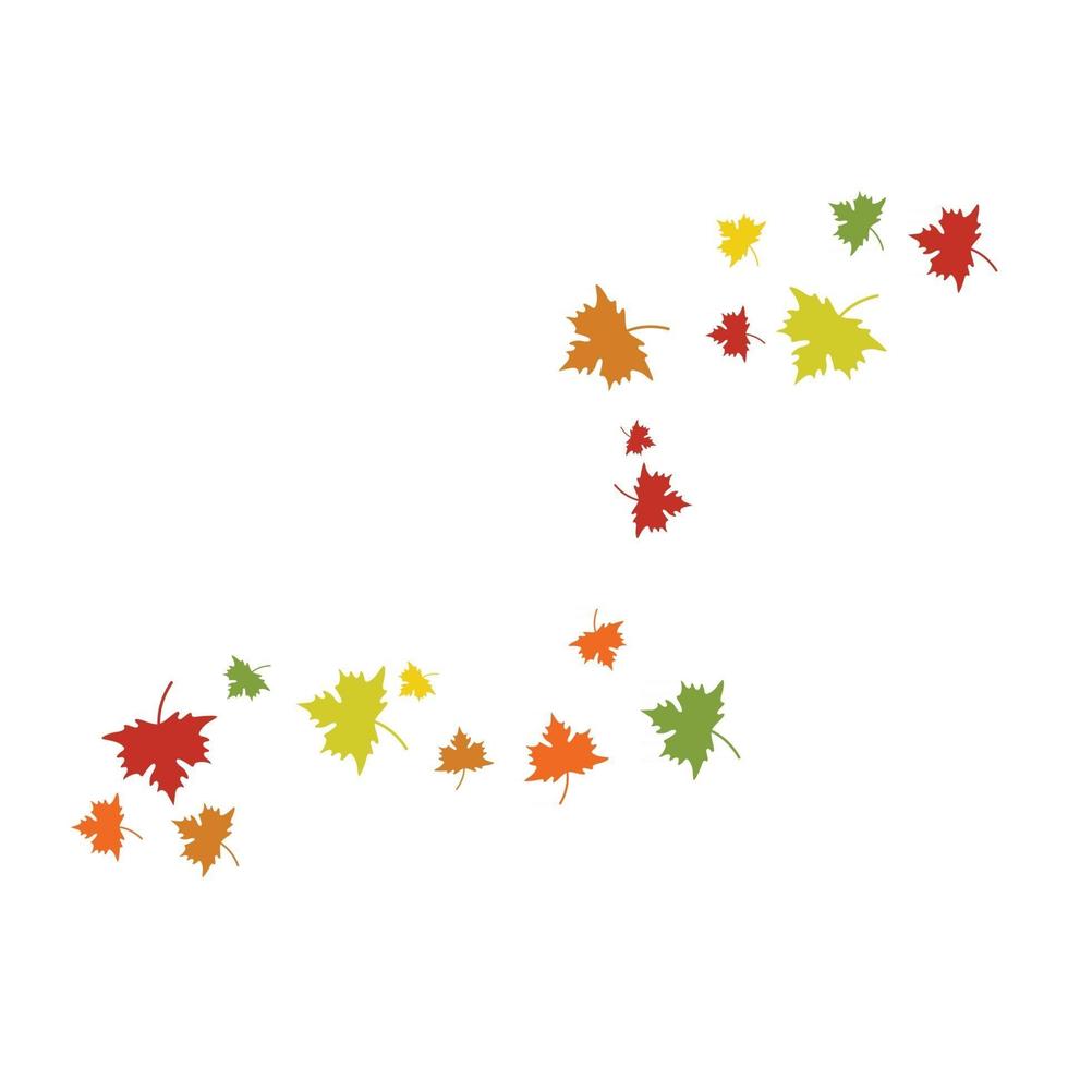 Autumn leaves maple vector