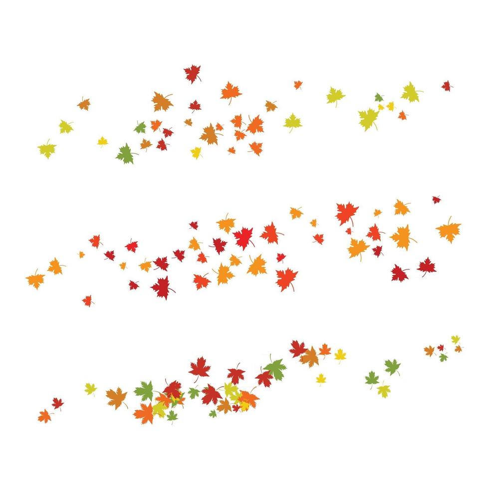 Autumn leaves maple vector