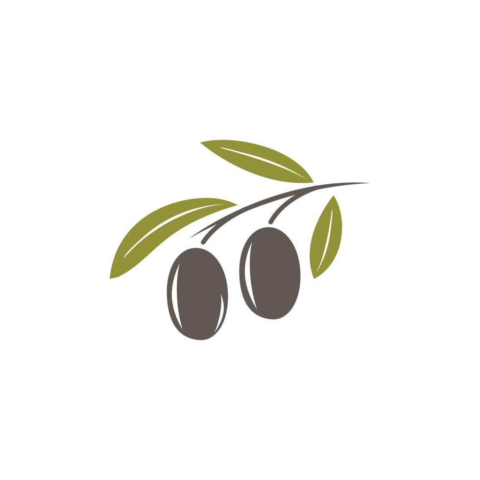 olive icon vector illustration