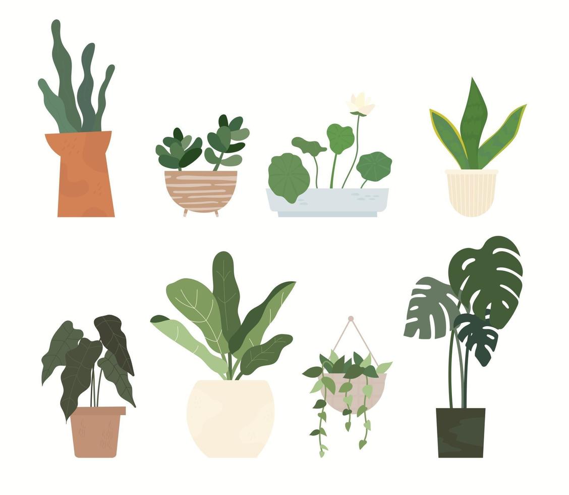 Various plant pots for home gardening. flat design style minimal vector illustration.