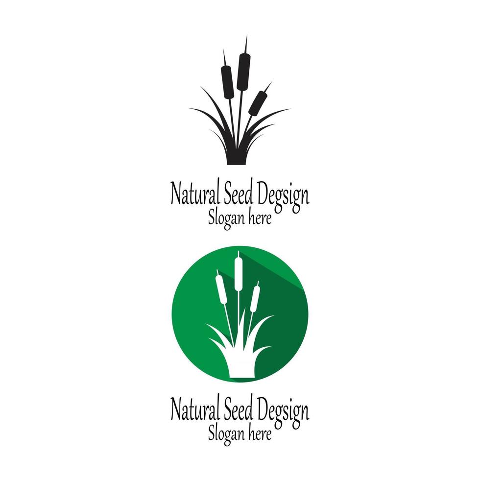 Reeds icon vector design template and symbol