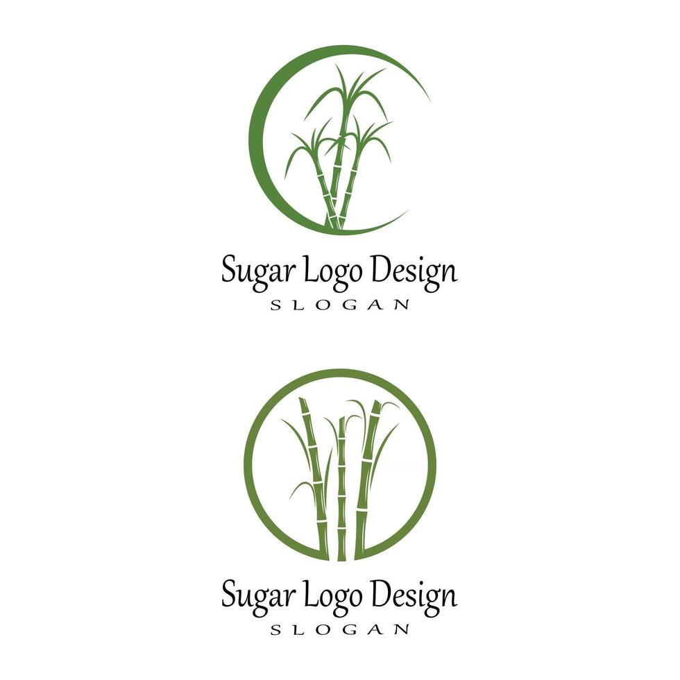 Sugar cane Logo Template vector symbol nature