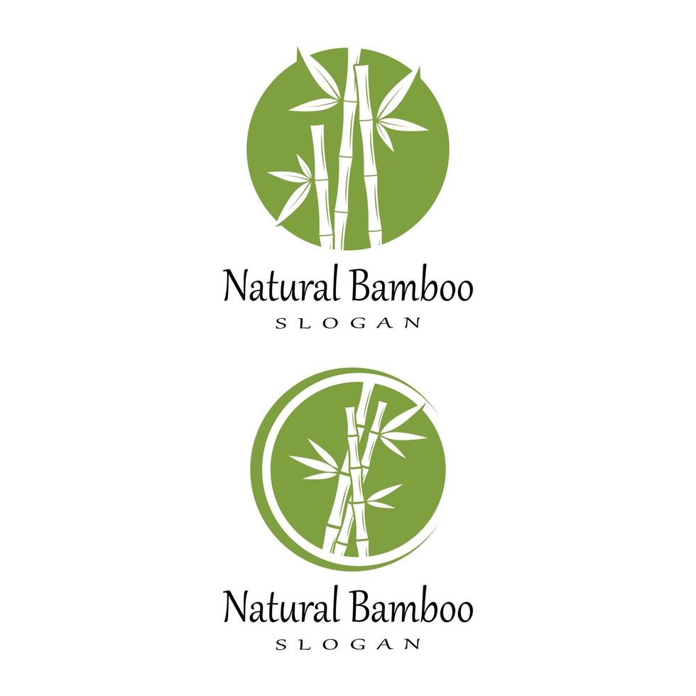 Diseño de ilustración de icono de vector de plantilla de logotipo de bambú