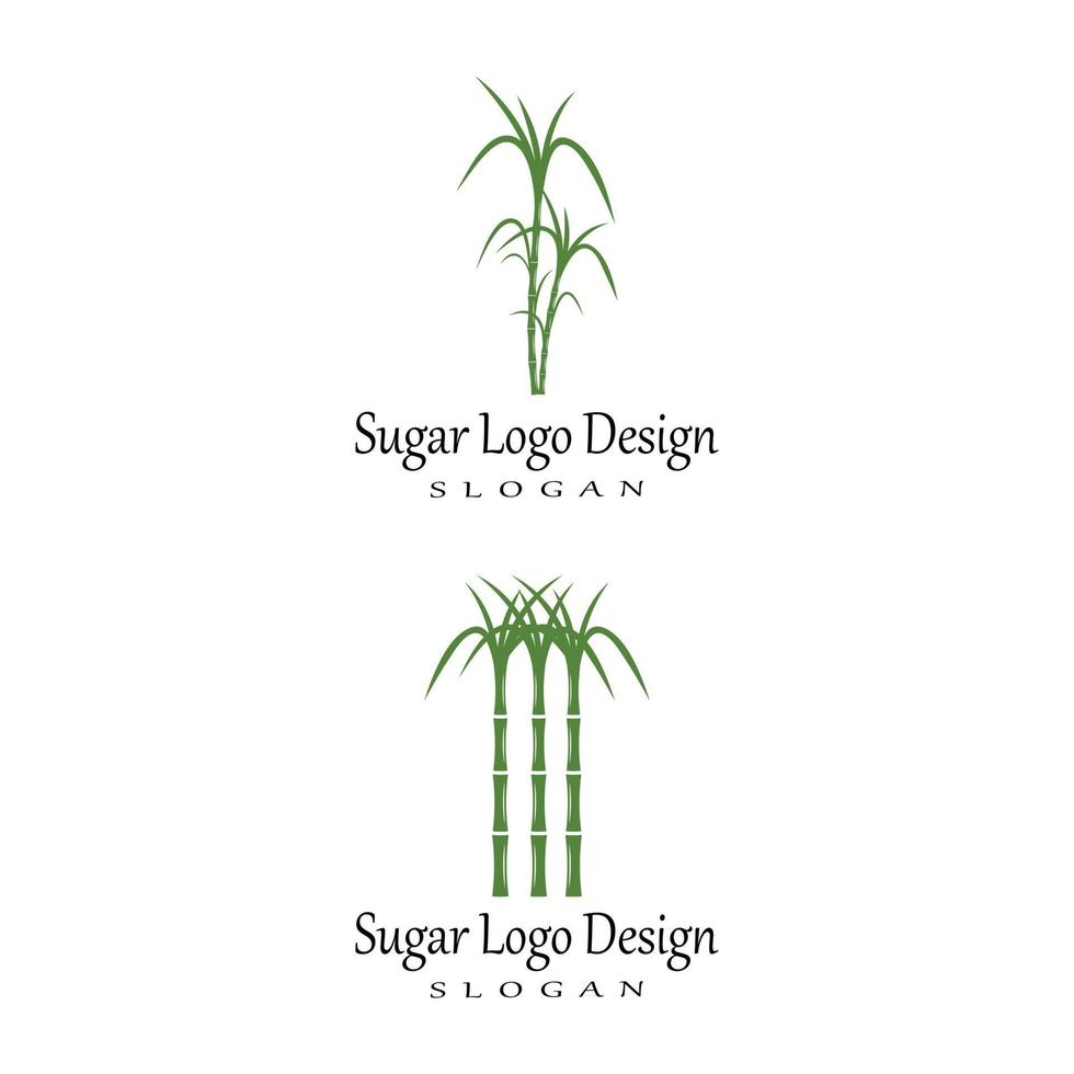 caña de azúcar, logotipo, plantilla, vector, símbolo, naturaleza vector