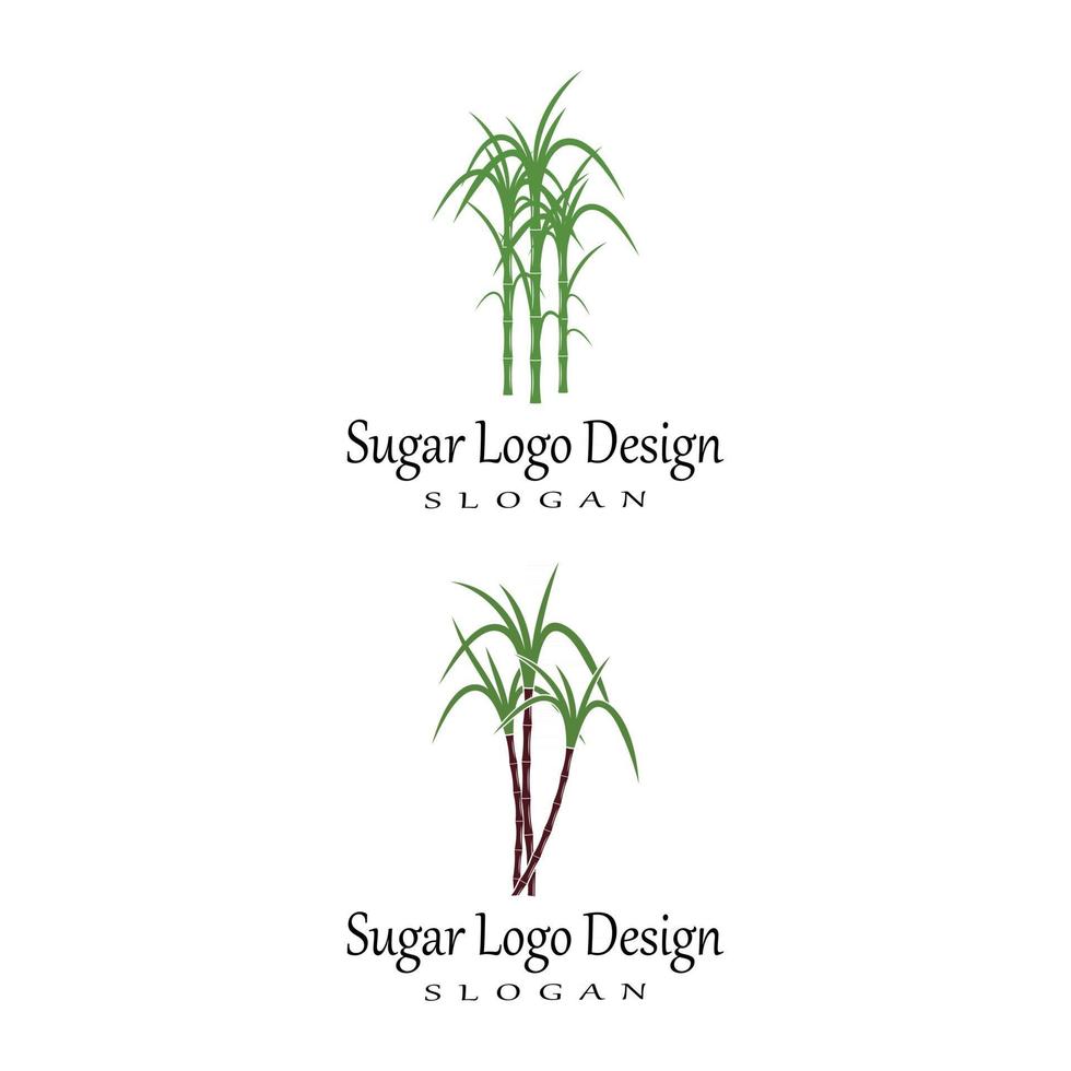 Sugar cane Logo Template vector symbol nature