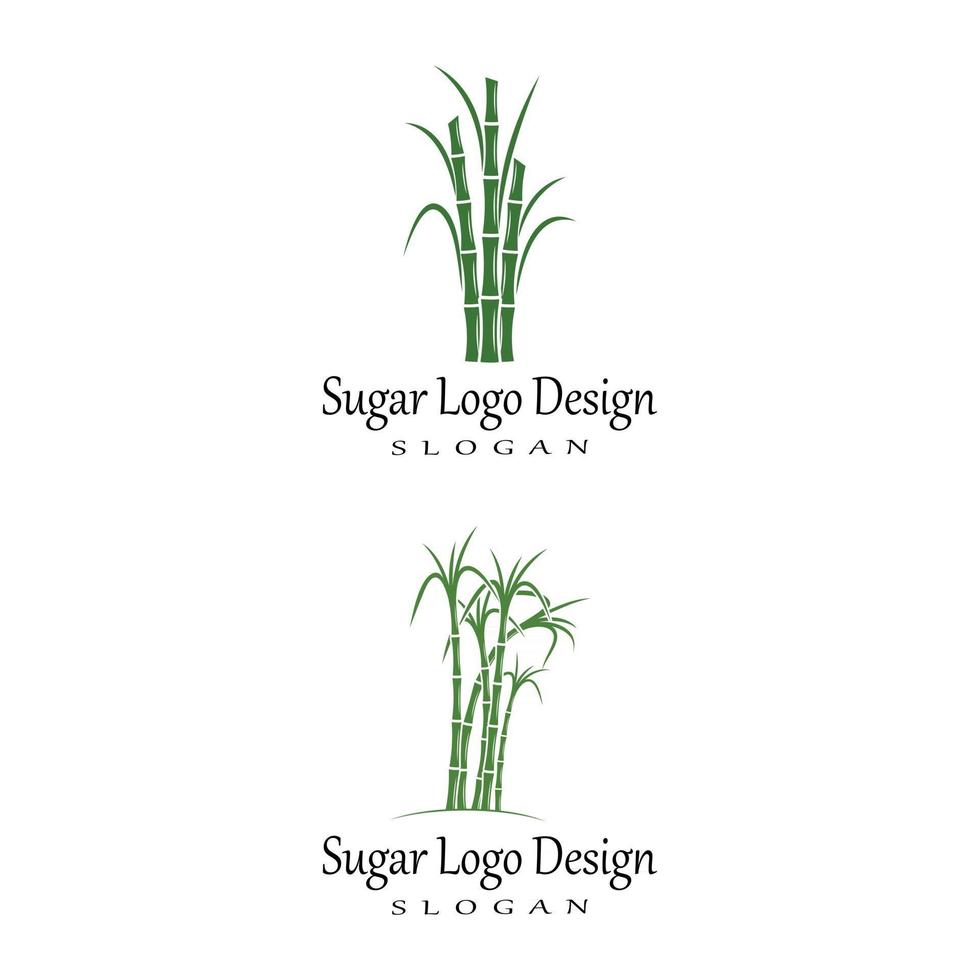 caña de azúcar, logotipo, plantilla, vector, símbolo, naturaleza vector