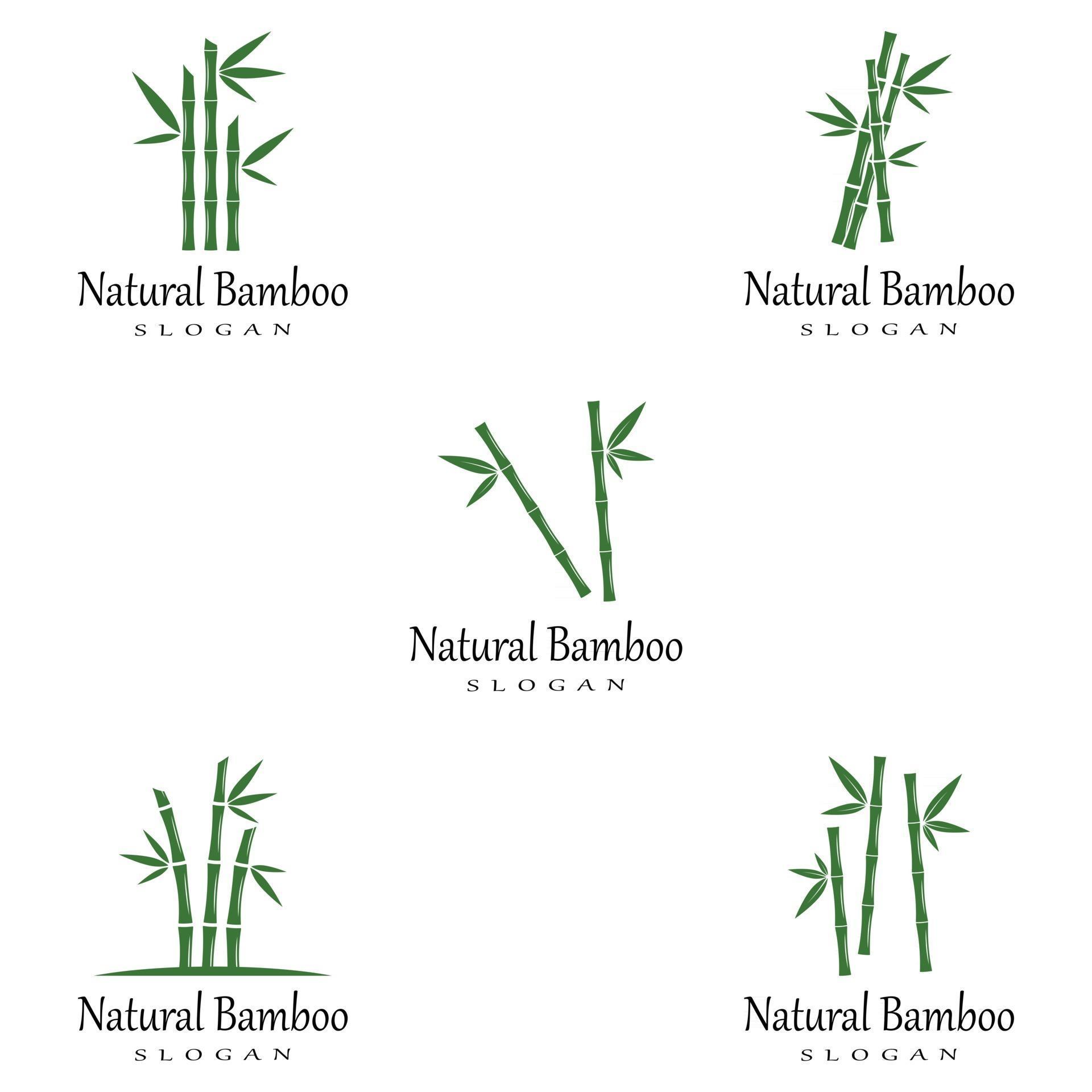 Bamboo Logo Template vector icon illustration design 2813848 Vector Art ...