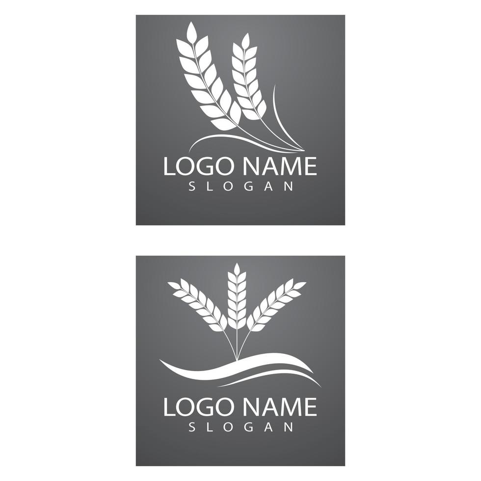 Agriculture wheat Logo Template vector icon design