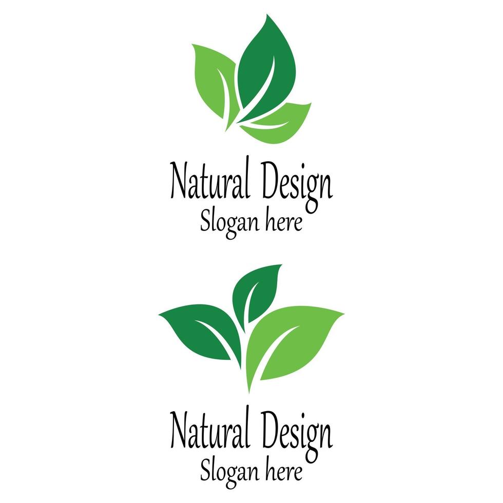 Leaf icon Vector Illustration design Logo template