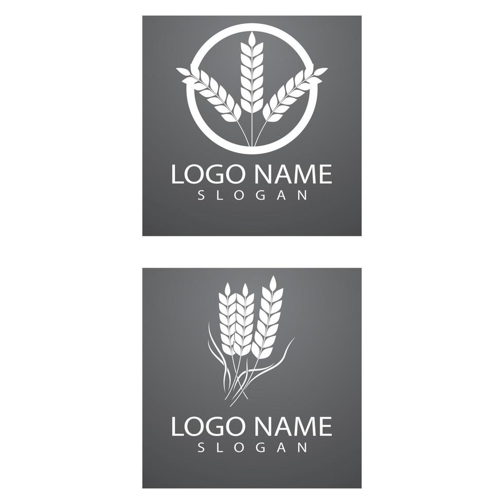 agricultura trigo logo plantilla vector icono diseño