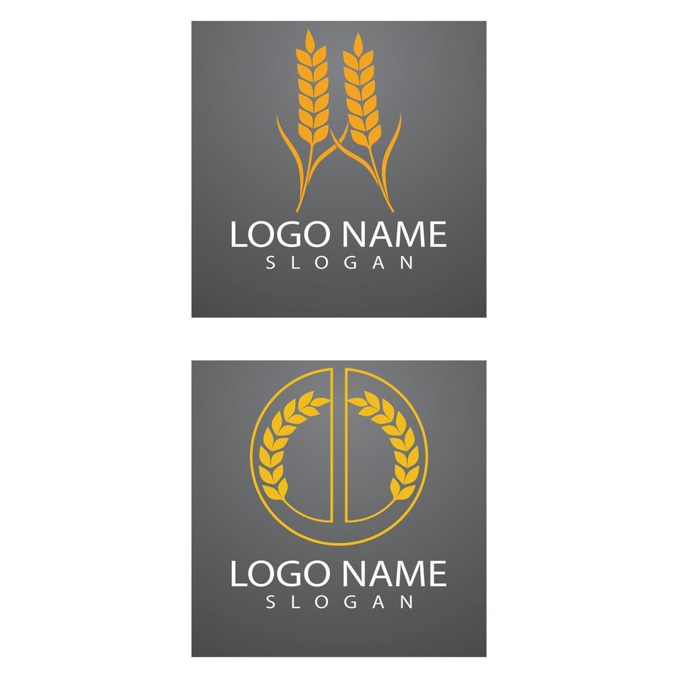 Agriculture wheat Logo Template vector icon design