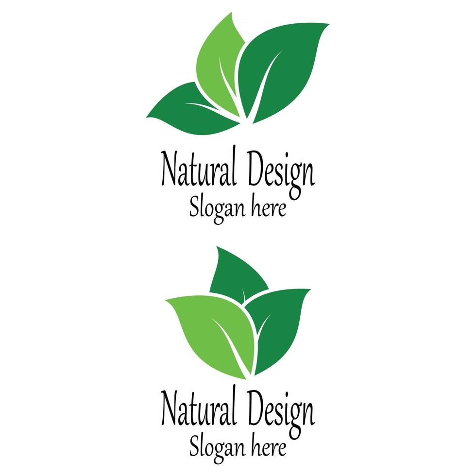Leaf icon Vector Illustration design Logo template