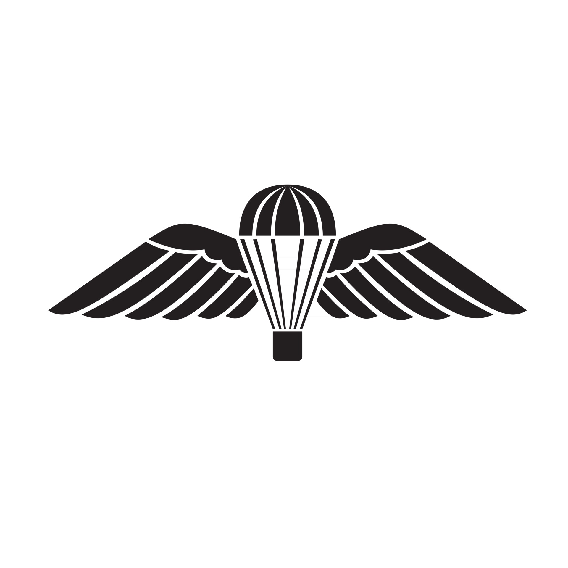 Parachute with Wings or Parachutist Badge Used by Parachute Regiment in ...