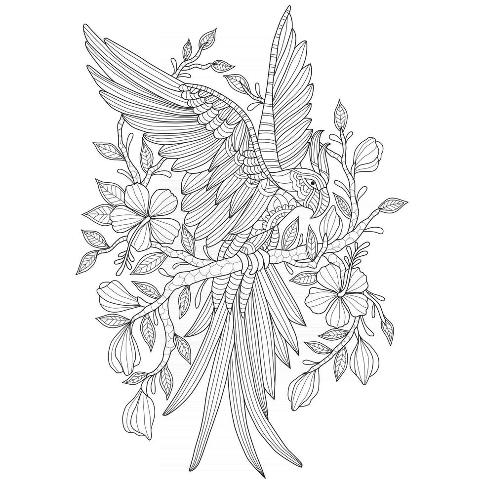 Parrot and flowers hand drawn for adult coloring book vector