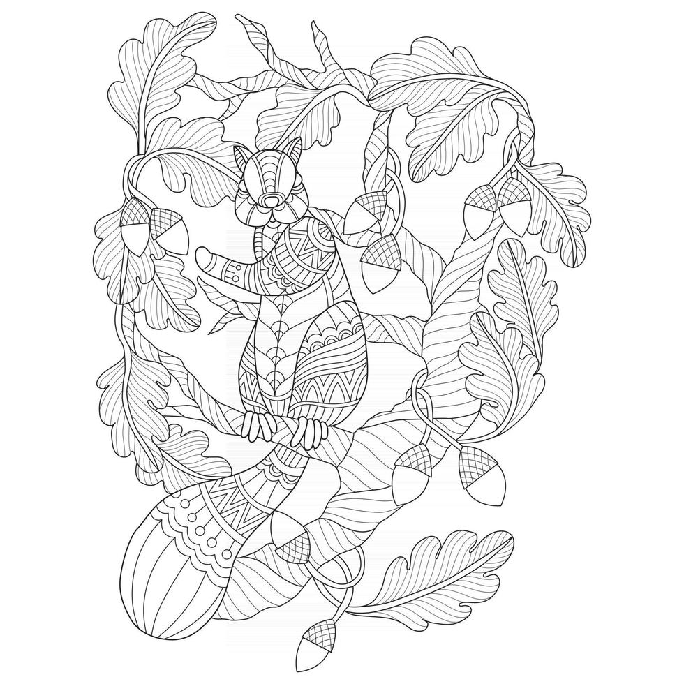 Squirrel and nut hand drawn for adult coloring book vector