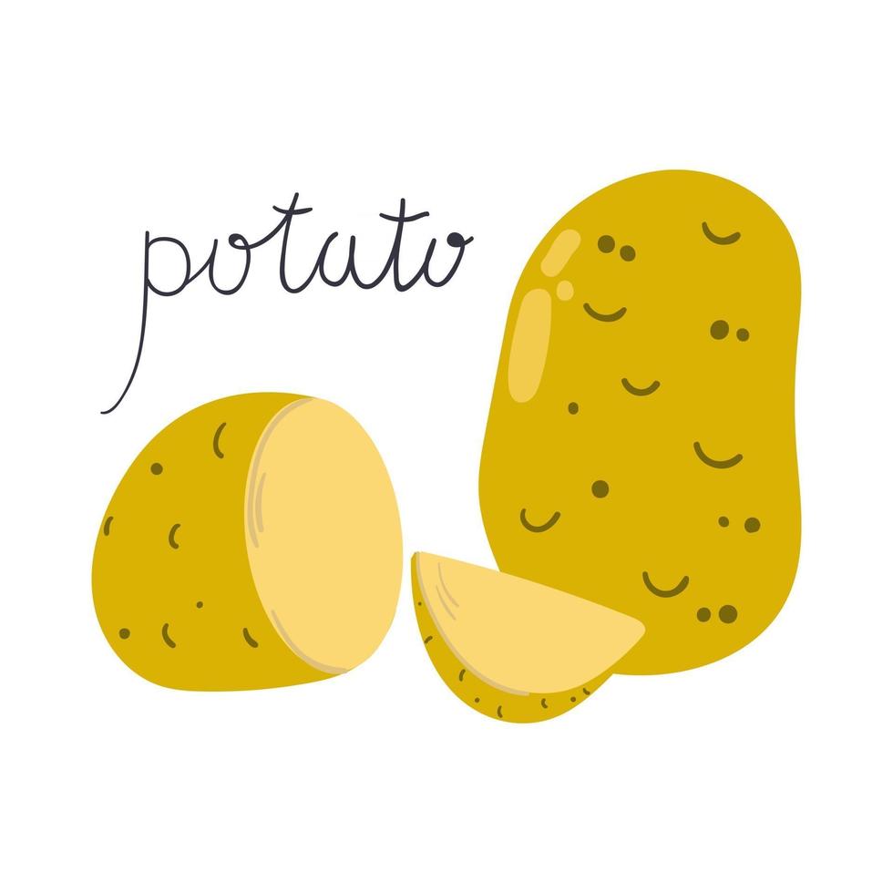 patata dibujada a mano, mitad, rebanada. ilustración plana. vector